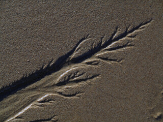 Beach view - Donmouth - Aberdeen city - Scotland - UK