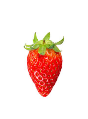 strawberry fruit isolated on white background.