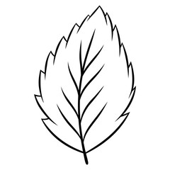 Obraz premium leaf icon illustration