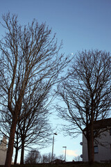 Small building and winter trees - Aberdeen - Scotland - UK