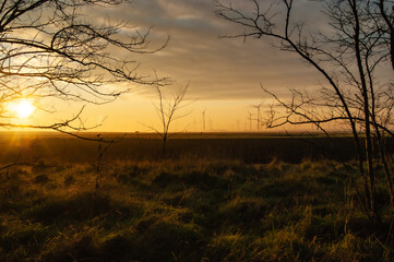 Landschaft im Morgenlicht