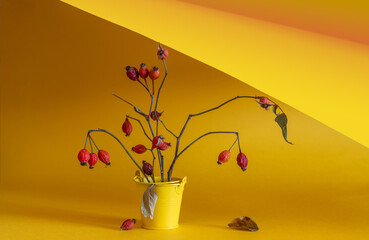 A bouquet of dry twigs with red rose hips.
