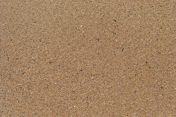 Fototapeta na wymiar Beach sand texture with small pieces of broken shells.