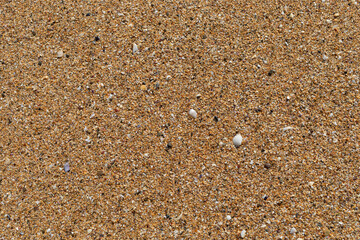 Beach sand texture with small pieces of broken shells.