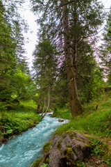 Serene Forest Stream: Crystal Clear Waters (Nenzing, Austria)