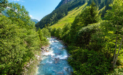 Serene Alpine Valley: Lush Meadows and Crystal-Clear Streams