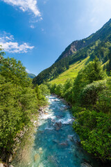 Serene Alpine Valley: Lush Meadows and Crystal-Clear Streams