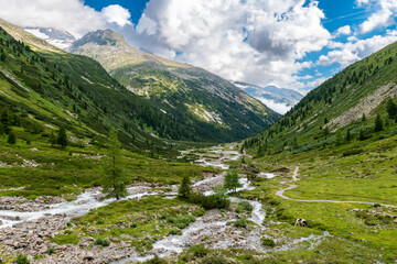 Vibrant Alpine Landscape: Lush Vegetation and Winding Rivers (Zemmgrund, AT)