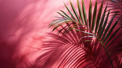 Serene Palm Leaf Shadow Casting on Light Grey Background