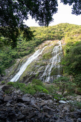 屋久島の大川の滝