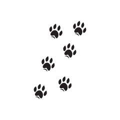Fototapeta premium Cat Paw Trail