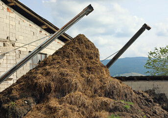 pile of manure used for fertilizing fields in an farm