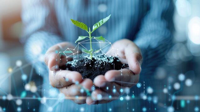 Businessperson hand holding a plant with digital data and graphs in the background, highlighting modern business growth