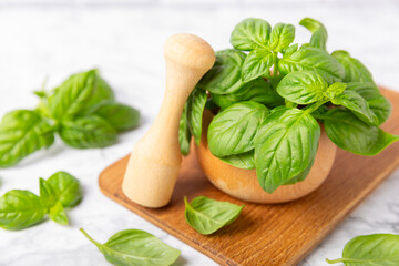 Fresh green basil in a mortar on a textured wooden background. Organic spices and herbs. Vegan. Fresh kitchen herbs. Fresh basil being made into pesto with mortar and pestle.Copy space. Place for text