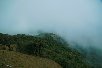 A foggy mountain top with trees and a hill