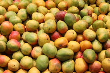 Vegetables and fruits are sold at a bazaar in Israel.