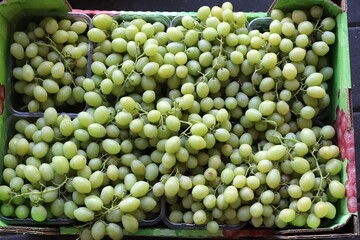 Vegetables and fruits are sold at a bazaar in Israel.