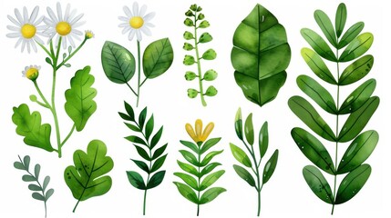 A vibrant collection of watercolor wildflowers and herbs, perfect for garden themes and natureinspired designs.