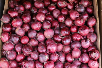 Vegetables and fruits are sold at a bazaar in Israel.