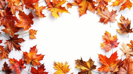 A white background with a large number of orange leaves scattered around it