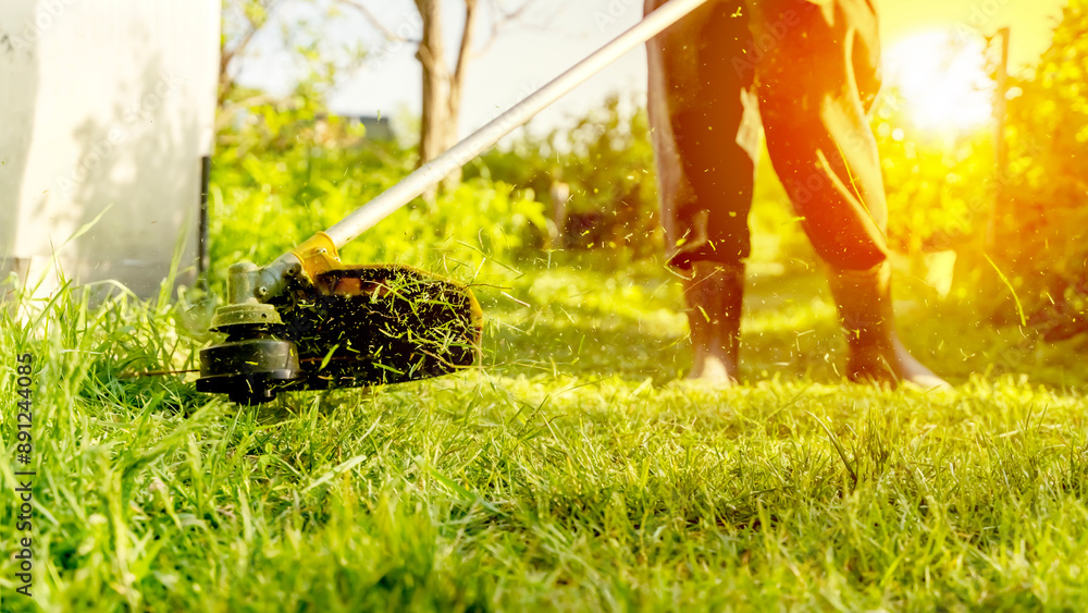 Wall mural gardener with grass trimmer mows grass