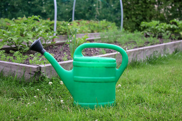 A green watering can standing on the ground, vegetables and herbs garden bed with young plants in background 
