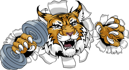Wildcat Cougar Lynx Lion Weight Lifting Gym Mascot