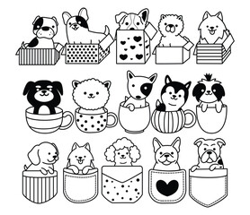 Doodle dogs cute, dog in box