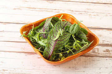 Green mix salad in the bowl