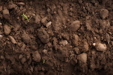 Processed collage of underground brown soil layer material texture. Background for banner