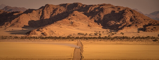 Namib desert, Namibia, dunes, oryx
