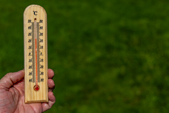 A man holds a wooden thermometer in his hand in the garden which indicates a very high temperature