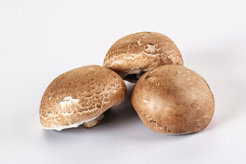 Raw brown champignon for cooking