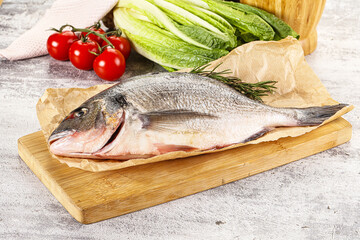Raw dorada fish served rosemary