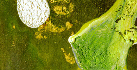 Explore an Eclectic and Expressive Painted Dreamscape: A Vivid Tapestry of Colors and Abstract...