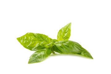 Basil isolated on white background. Fresh organic basil leaves isolated on white background. Spices. Vegan.