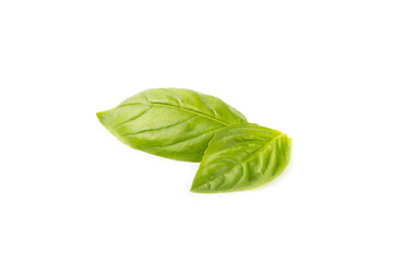 Fototapeta premium Basil isolated on white background. Fresh organic basil leaves isolated on white background. Spices. Vegan.