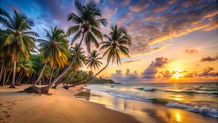 Fototapeta premium Tropical beach with coconut palm trees at sunset creating idyllic scenery