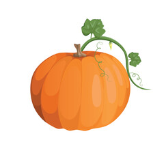 Autumn orange pumpkin. Postcard or banner. Cartoon pumpkins, halloween squash, fall harvest gourds. Autumn thanksgiving and halloween