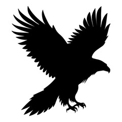 Silhouette eagle. Silhouettes of wild bird