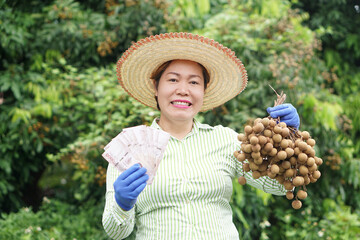 Happy Asian woman gardener , holds bunch of longan fruits and Thai banknote money in garden. Concept, Agricultural crops, Ecocomic and export fruits. Gardener sells longans.  