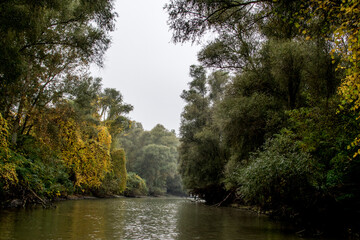 autumn in the park