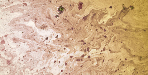 Enigmatic Elegance: Oil-Painted Liquid Art with Vibrant Translucent Colors