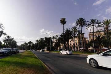Obraz premium trees in the city