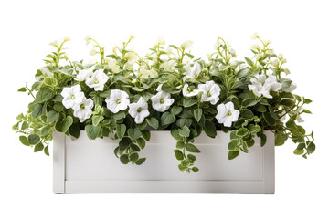 A Tranquil Window Box Overflowing With Delicate White Petunias on a Clear PNG or White Background.