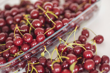 red juicy cherries in glass plate, Cherry organic berries harvest. Fresh cherries for jam, juice, smoothie, compote, desserts and cakes. Organic fruits in the village.