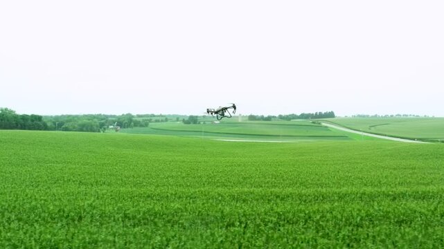 flying drone footage show an agricultural drone spraying chemicals over a lush green field. This video showcases the precision and efficiency of modern agricultural technology in crop management.