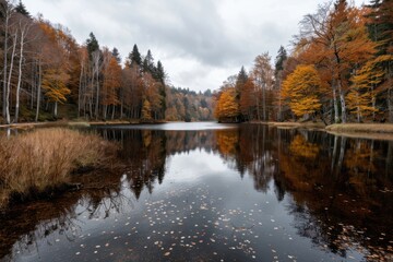 Obraz premium A tranquil autumn lake surrounded by vivid, colorful trees reflecting on the calm water surface, creating a serene and picturesque natural landscape perfect for relaxation.
