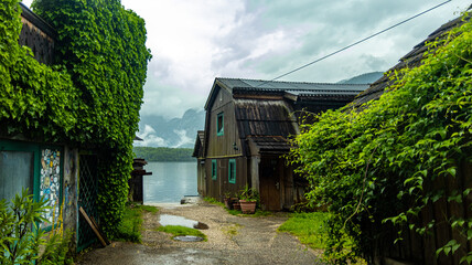 old house in the woods