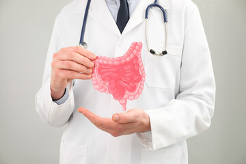 Doctor showing paper intestine cutout on grey background, closeup